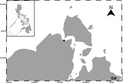 Assessing the efficiency of microplastics extraction methods for tropical beach sediments and matrix preparation for experimental controls